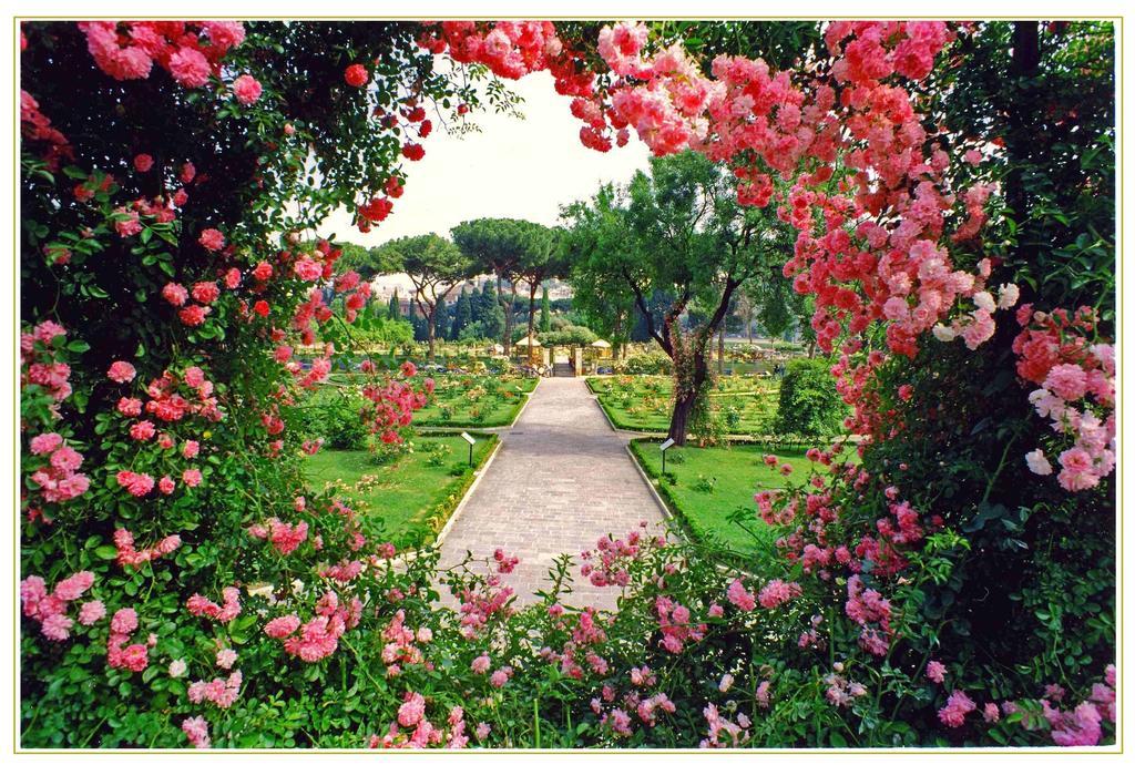 Aventino Bed & Breakfast Roma